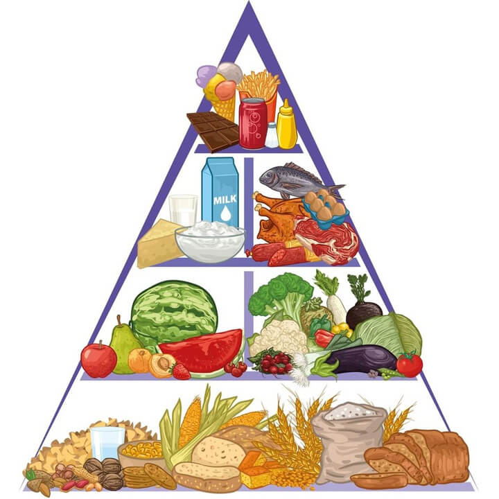 nhu cầu năng lượng và protein người trưởng thành