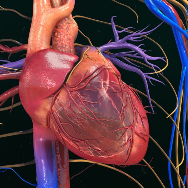 dinh dưỡng suy tim